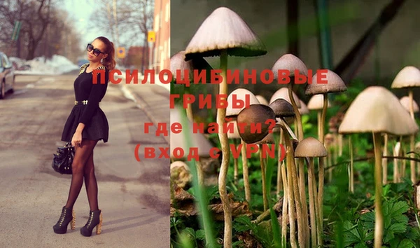spice Алексин