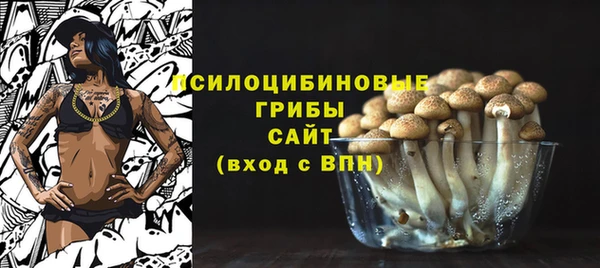 spice Алексин