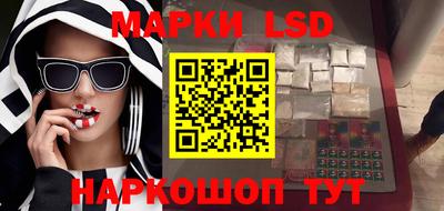 стафф Гатчина