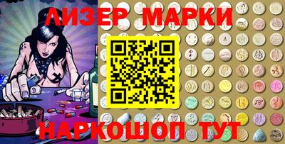 стафф Гатчина