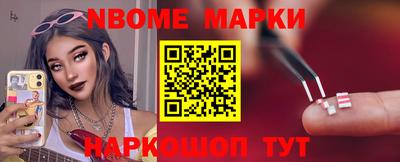 стафф Гатчина