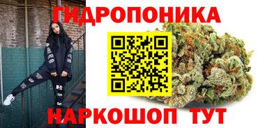 mdpv Гай