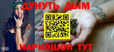 стафф Гатчина