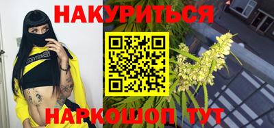 стафф Гатчина