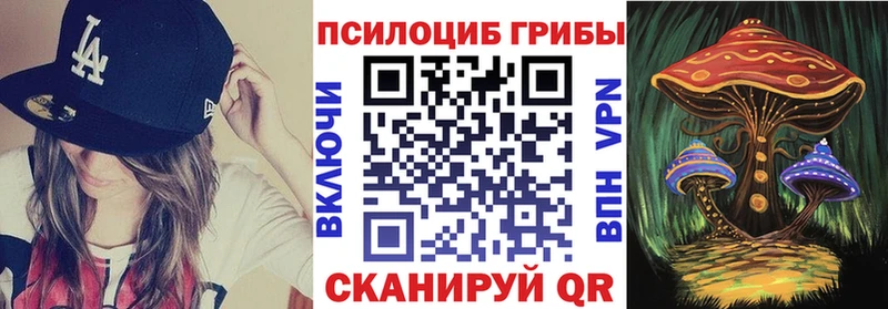блэк спрут ONION  Нефтекамск  Псилоцибиновые грибы MAGIC MUSHROOMS  наркотики 