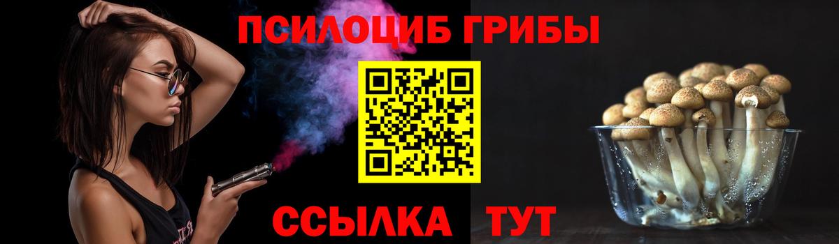 Галлюциногенные грибы GOLDEN TEACHER Нефтекамск
